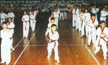 Young Taekwondo talents show off their skills