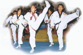 Taekwondo Aerobics