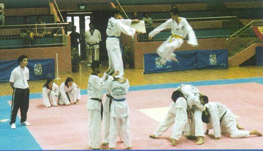 A smashing display of plank breaking skills