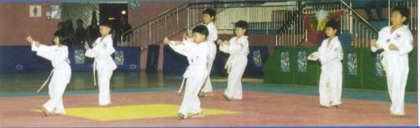 Young Taekwondo exponents showing off their skills